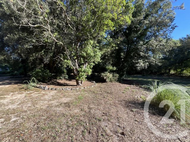 Terrain &agrave; vendre - 1500 m2 - Roquefort Les Pins - 06 - PROVENCE-ALPES-COTE-D-AZUR