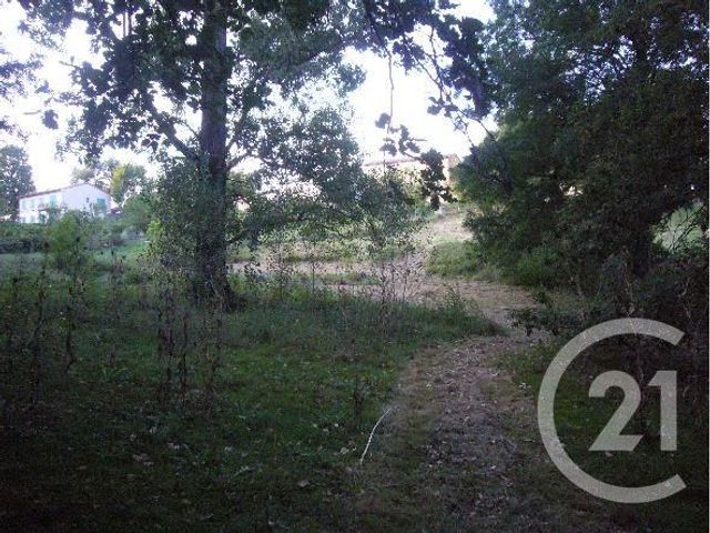 Terrain &agrave; vendre - 1700 m2 - Castres - 81 - MIDI-PYRENEES