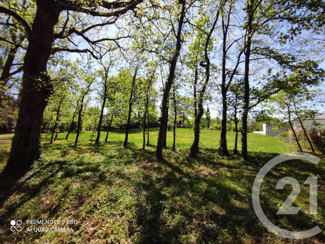 Terrain &agrave; vendre - 3283 m2 - Saix - 81 - MIDI-PYRENEES