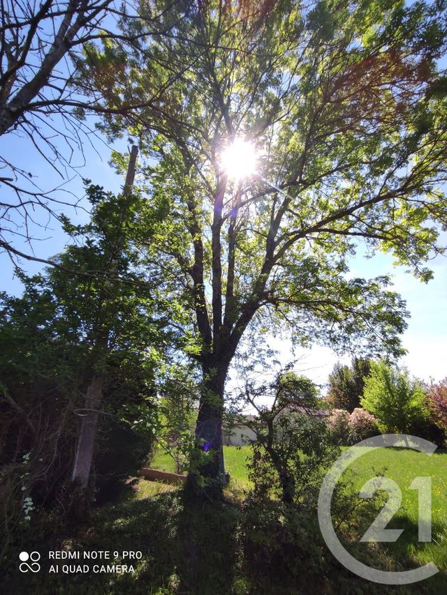 Terrain &agrave; vendre - 3283 m2 - Saix - 81 - MIDI-PYRENEES