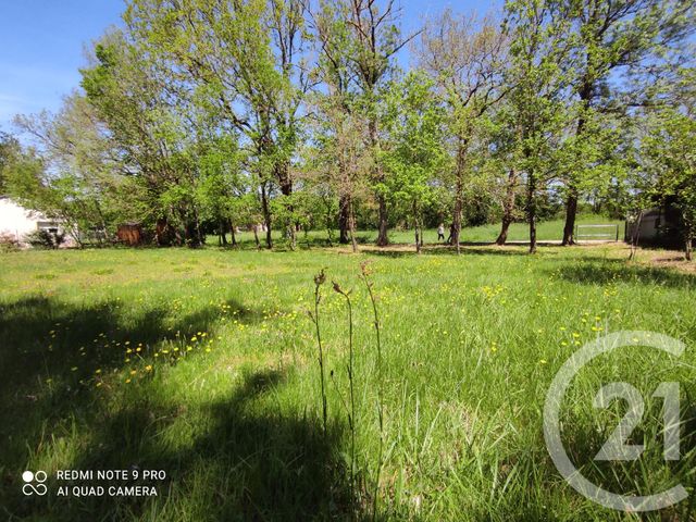 Terrain &agrave; vendre - 3283 m2 - Saix - 81 - MIDI-PYRENEES