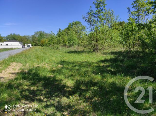 Terrain &agrave; vendre - 3283 m2 - Saix - 81 - MIDI-PYRENEES
