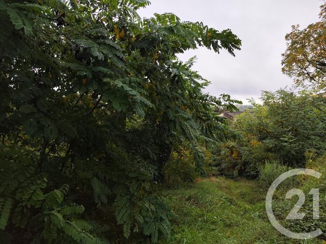 Terrain &agrave; vendre - 719 m2 - Burlats - 81 - MIDI-PYRENEES
