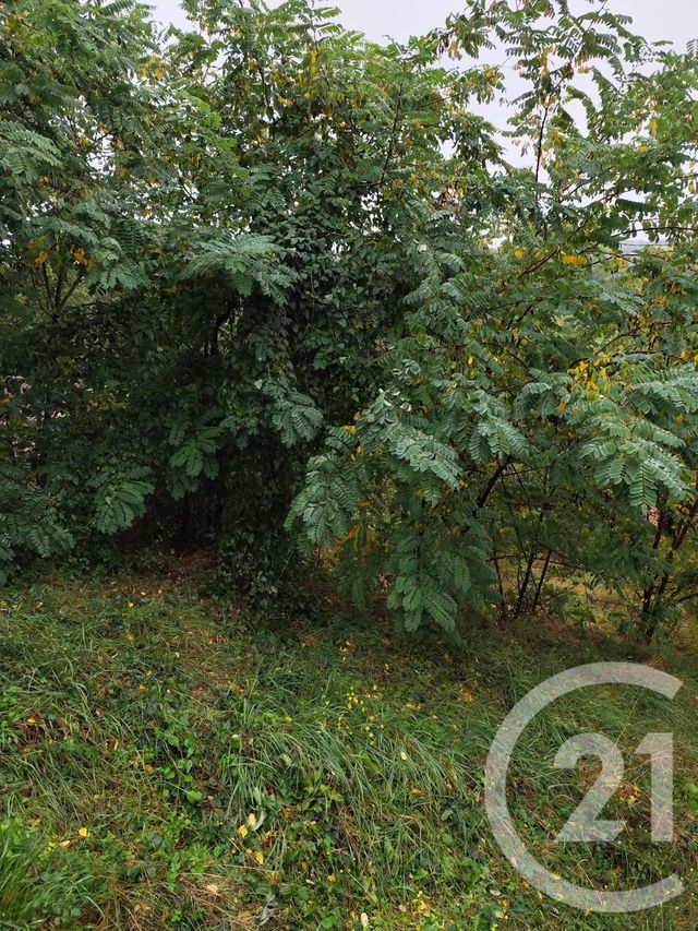 Terrain &agrave; vendre - 719 m2 - Burlats - 81 - MIDI-PYRENEES