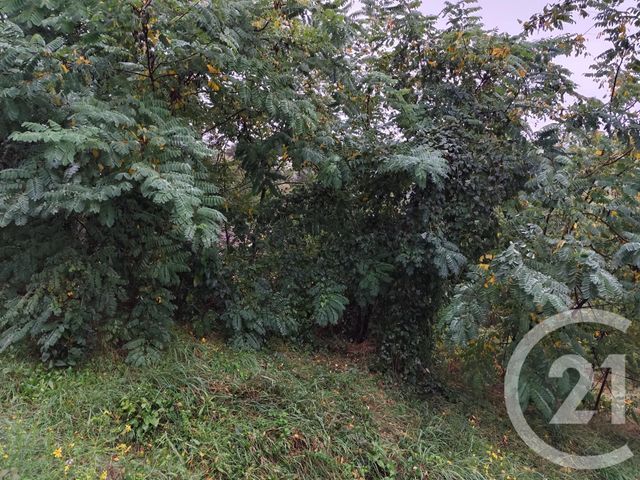 Terrain &agrave; vendre - 719 m2 - Burlats - 81 - MIDI-PYRENEES