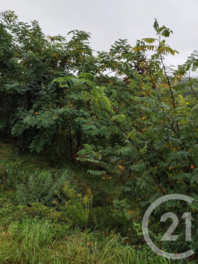 Terrain &agrave; vendre - 719 m2 - Burlats - 81 - MIDI-PYRENEES