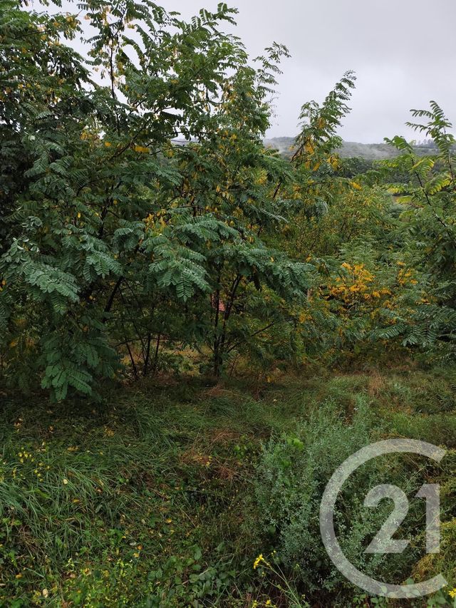 Terrain &agrave; vendre - 719 m2 - Burlats - 81 - MIDI-PYRENEES