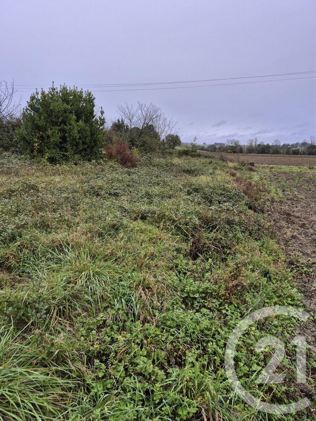 Terrain &agrave; vendre - 1160 m2 - Lautrec - 81 - MIDI-PYRENEES