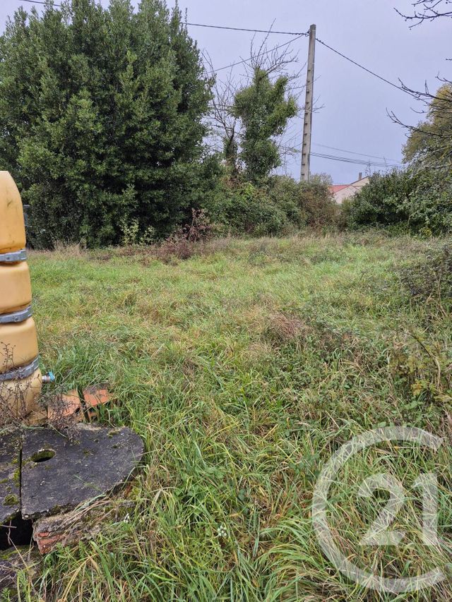 Terrain &agrave; vendre - 1160 m2 - Lautrec - 81 - MIDI-PYRENEES