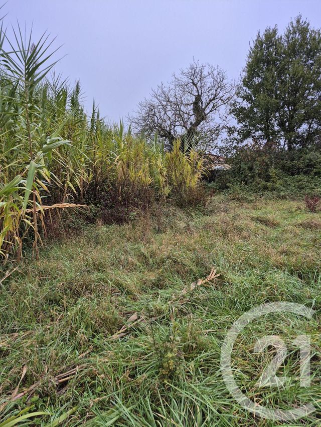 Terrain &agrave; vendre - 1160 m2 - Lautrec - 81 - MIDI-PYRENEES