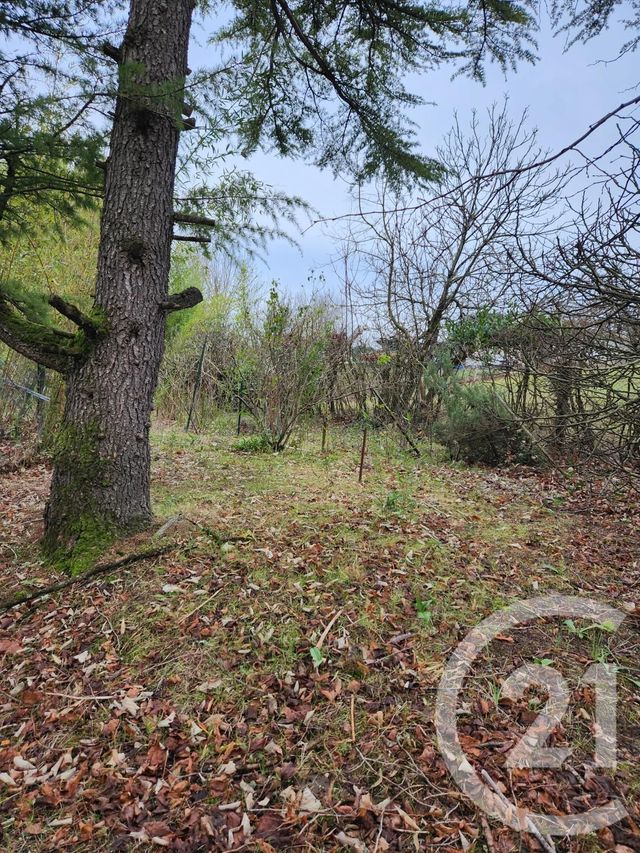 Maison &agrave; vendre - 8 pi&egrave;ces - 287,50 m2 - Castres - 81 - MIDI-PYRENEES