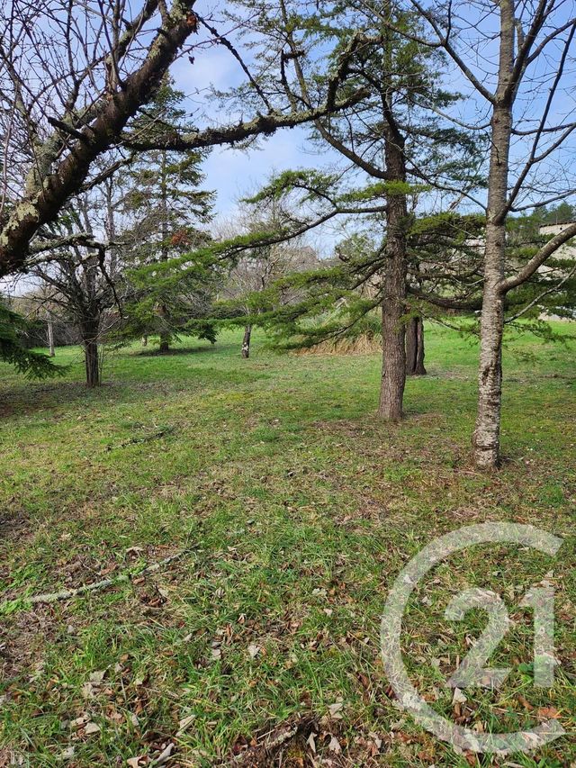 Terrain &agrave; vendre - 1237 m2 - Castres - 81 - MIDI-PYRENEES