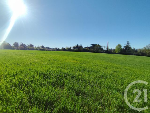 Terrain &agrave; vendre - 32000 m2 - Castres - 81 - MIDI-PYRENEES