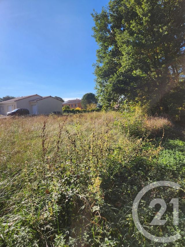 Terrain &agrave; vendre - 900 m2 - Lescout - 81 - MIDI-PYRENEES