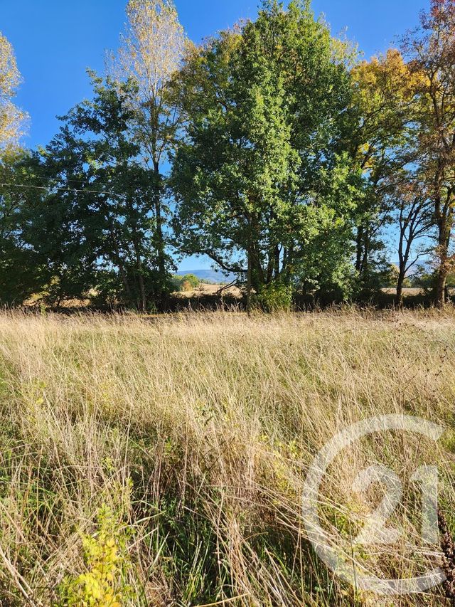 Terrain &agrave; vendre - 900 m2 - Lescout - 81 - MIDI-PYRENEES