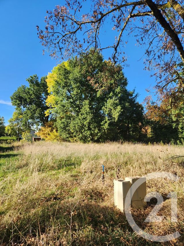 Terrain &agrave; vendre - 900 m2 - Lescout - 81 - MIDI-PYRENEES