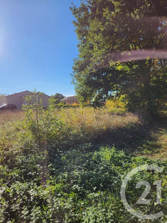 Terrain &agrave; vendre - 900 m2 - Lescout - 81 - MIDI-PYRENEES