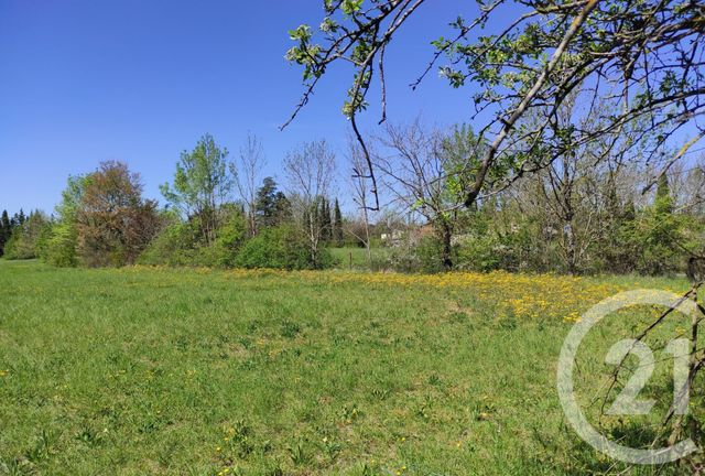 Terrain &agrave; vendre - 8831 m2 - Castres - 81 - MIDI-PYRENEES