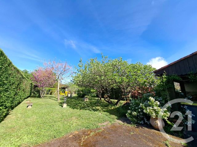 Maison &agrave; louer - 6 pi&egrave;ces - 160 m2 - Castres - 81 - MIDI-PYRENEES