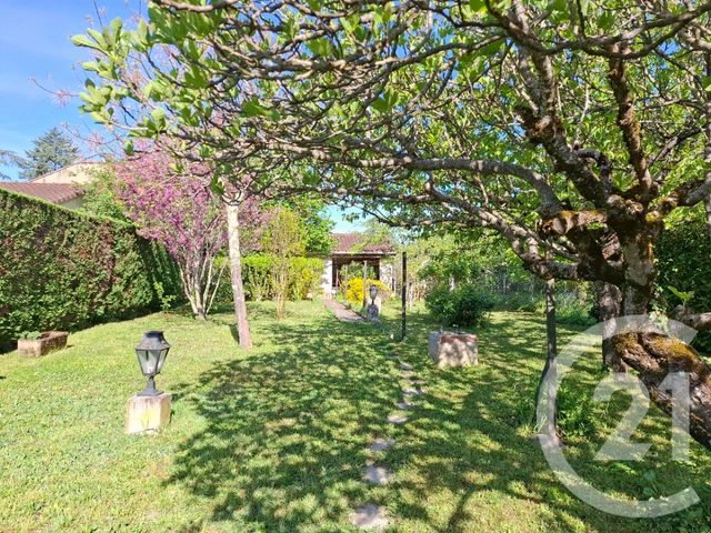 Maison &agrave; louer - 6 pi&egrave;ces - 160 m2 - Castres - 81 - MIDI-PYRENEES