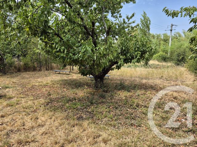 Maison &agrave; vendre - 6 pi&egrave;ces - 165,70 m2 - Valdurenque - 81 - MIDI-PYRENEES