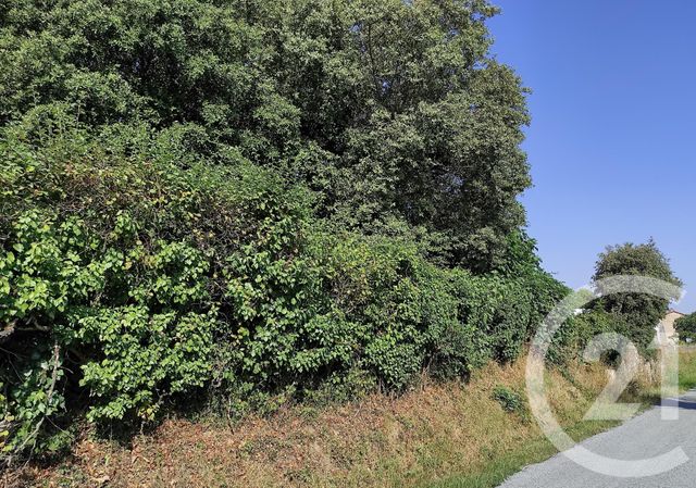 Terrain &agrave; vendre - 825 m2 - Venes - 81 - MIDI-PYRENEES