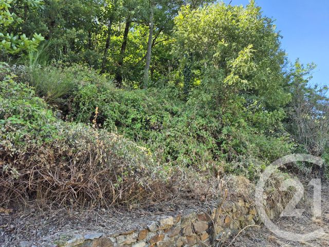 Maison &agrave; vendre - 4 pi&egrave;ces - 105,05 m2 - Mazamet - 81 - MIDI-PYRENEES