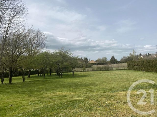 Maison &agrave; louer - 4 pi&egrave;ces - 93 m2 - Castres - 81 - MIDI-PYRENEES