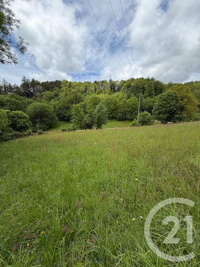 Terrain &agrave; vendre - 3968 m2 - Le Bez - 81 - MIDI-PYRENEES