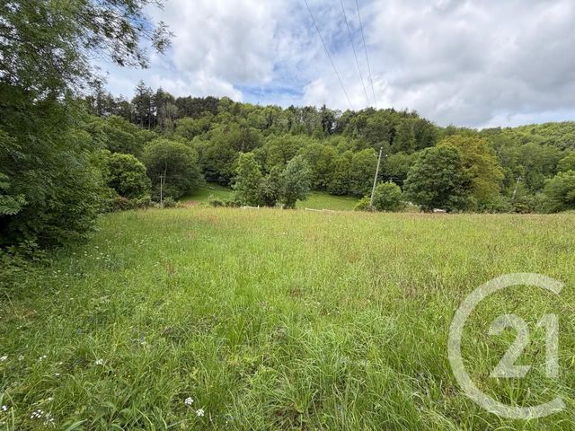 Terrain &agrave; vendre - 3968 m2 - Le Bez - 81 - MIDI-PYRENEES