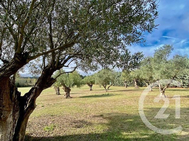 Maison à vendre - 9 pièces - 588,89 m2 - Carcassonne - 11 - LANGUEDOC-ROUSSILLON