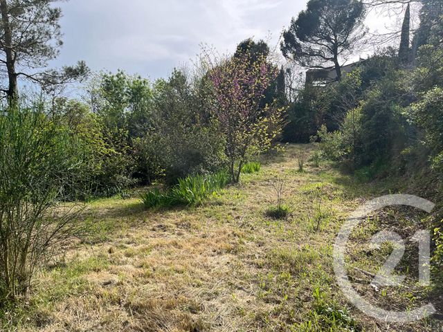 Terrain &agrave; vendre - 3788 m2 - Carcassonne - 11 - LANGUEDOC-ROUSSILLON