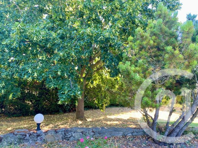 Maison à vendre - 4 pièces - 191,12 m2 - Carcassonne - 11 - LANGUEDOC-ROUSSILLON