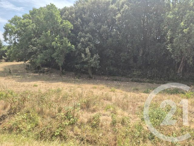 Terrain &agrave; vendre - 1000 m2 - Montolieu - 11 - LANGUEDOC-ROUSSILLON