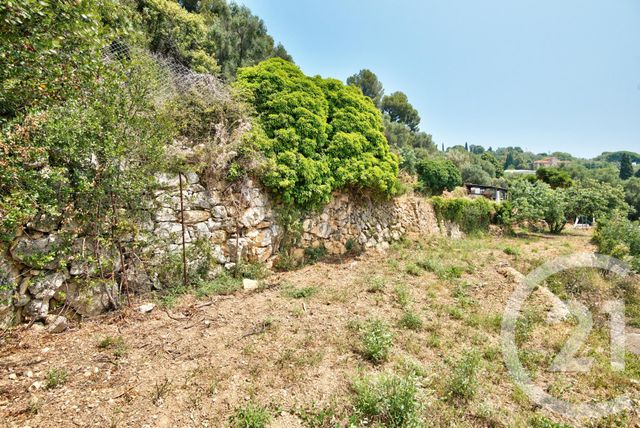 Terrain &agrave; vendre - 1640 m2 - Nice - 06 - PROVENCE-ALPES-COTE-D-AZUR