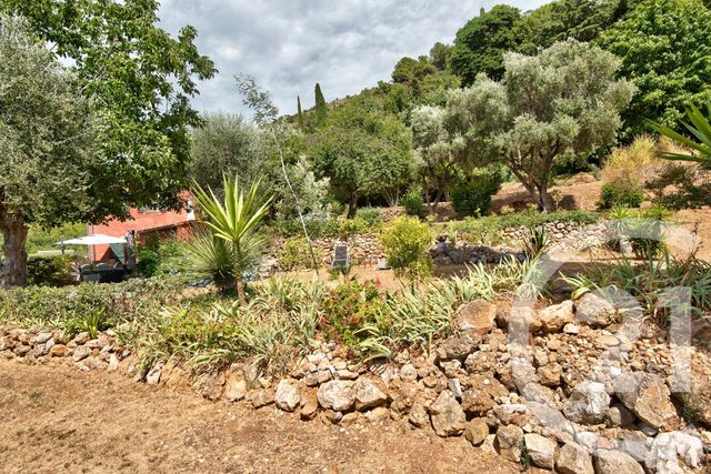 Terrain &agrave; vendre - 11600 m2 - Aspremont - 06 - PROVENCE-ALPES-COTE-D-AZUR