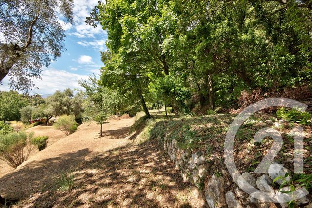 Terrain &agrave; vendre - 11600 m2 - Aspremont - 06 - PROVENCE-ALPES-COTE-D-AZUR
