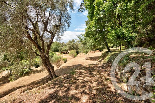 Terrain &agrave; vendre - 11600 m2 - Aspremont - 06 - PROVENCE-ALPES-COTE-D-AZUR