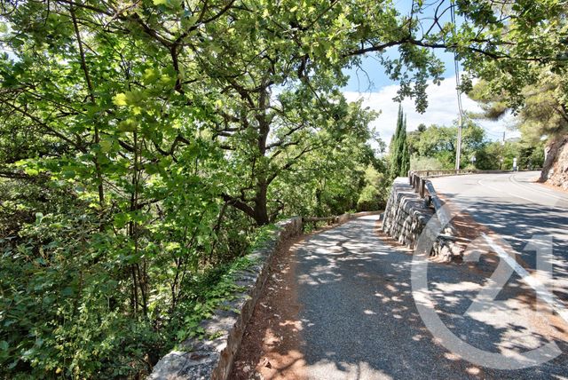 Terrain &agrave; vendre - 11600 m2 - Aspremont - 06 - PROVENCE-ALPES-COTE-D-AZUR