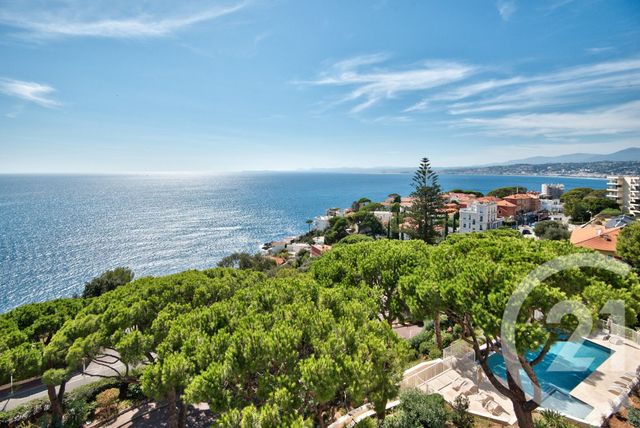 appartement - NICE - 06