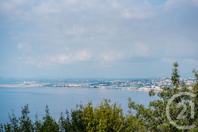 appartement - NICE - 06