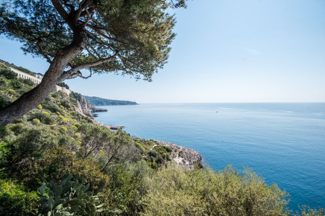 Maison &agrave; vendre - 6 pi&egrave;ces - 229,23 m2 - Nice - 06 - PROVENCE-ALPES-COTE-D-AZUR