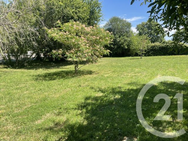 terrain - MONTRABE - 31