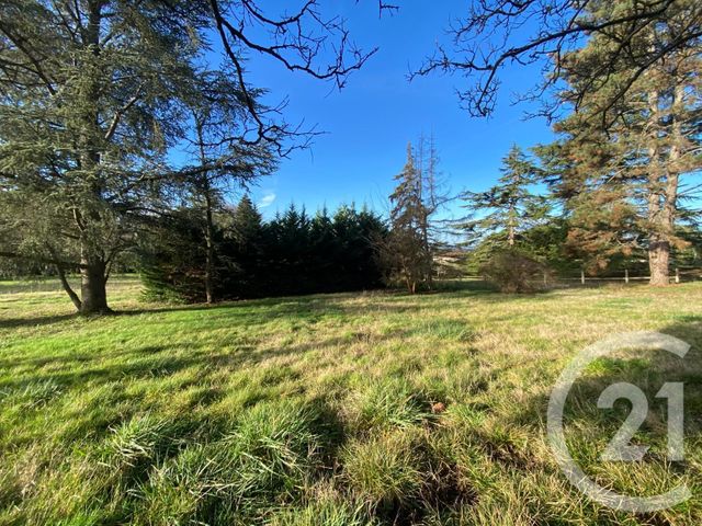 Terrain &agrave; vendre - 1715 m2 - Launaguet - 31 - MIDI-PYRENEES