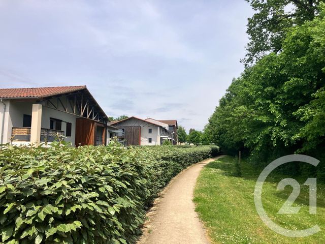 Appartement T2 &agrave; louer - 2 pi&egrave;ces - 38,87 m2 - St Genies Bellevue - 31 - MIDI-PYRENEES