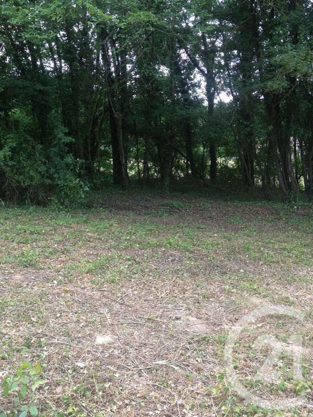 Terrain à vendre - 3929 m2 - Nanteau Sur Lunain - 77 - ILE-DE-FRANCE