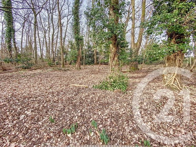 Terrain à vendre - 1211 m2 - St Pierre Les Nemours - 77 - ILE-DE-FRANCE