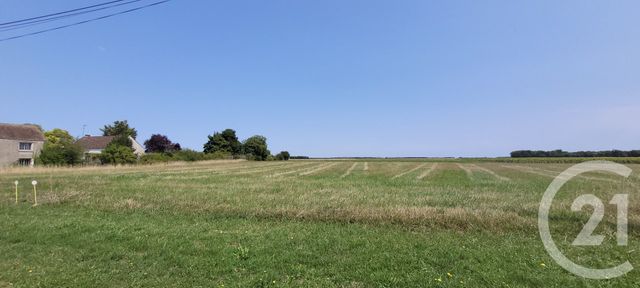 Terrain à vendre AUFFERVILLE