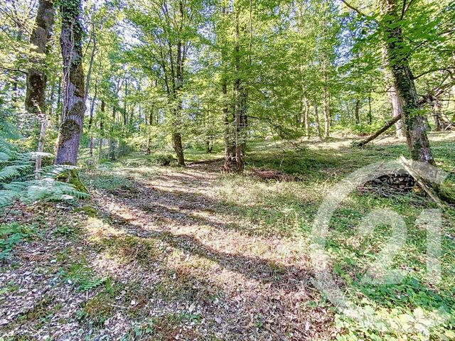 Maison à vendre - 5 pièces - 96 m2 - Fay Les Nemours - 77 - ILE-DE-FRANCE