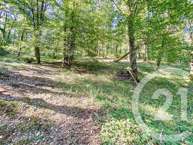 Maison à vendre - 5 pièces - 96 m2 - Fay Les Nemours - 77 - ILE-DE-FRANCE